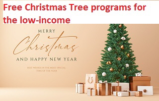 Free Christmas Tree programs for the low-income